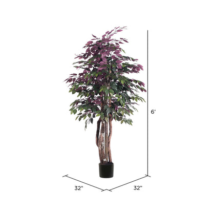Vickerman 6' Artificial Capensia Executive Black Plastic Pot