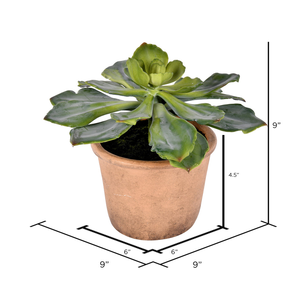 Vickerman 9" Artificial Succulent Paper Pot.