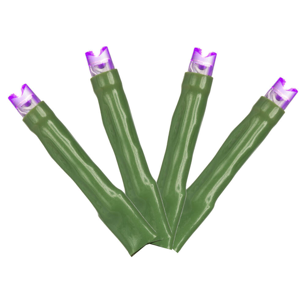 Vickerman 144 Purple LED Cluster Light Set 24' Christmas Light Set Green Wire