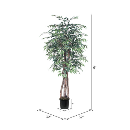 Vickerman 6' Artificial Variegated Ficus Executive Black Plastic Pot