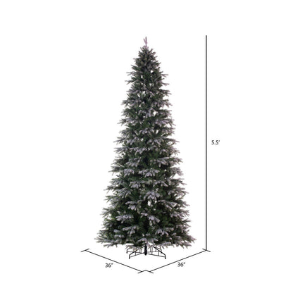 Vickerman 5.5' x 36" Frosted Douglas Fir Artificial Slim Unlit Christmas Tree.