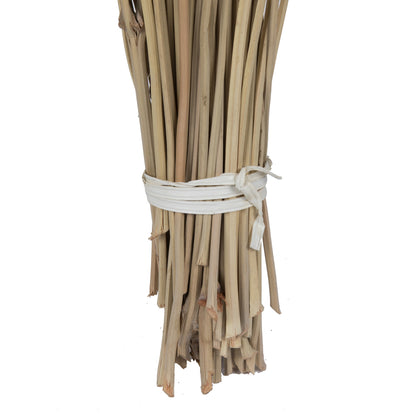 Vickerman 36-38" Natural Deglet Nour Branch Bundle