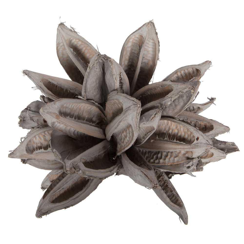 Vickerman 12-16" Solid Gray Star Pod Extra Large