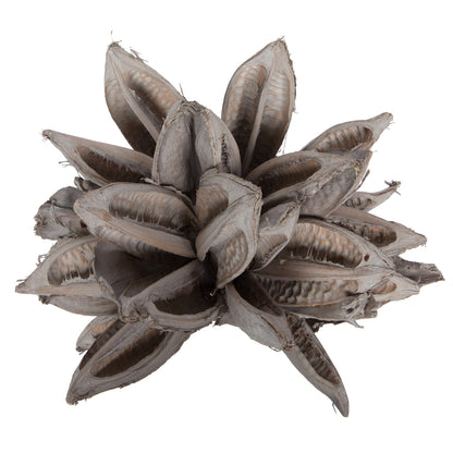Vickerman 12-16" Solid Gray Star Pod Extra Large