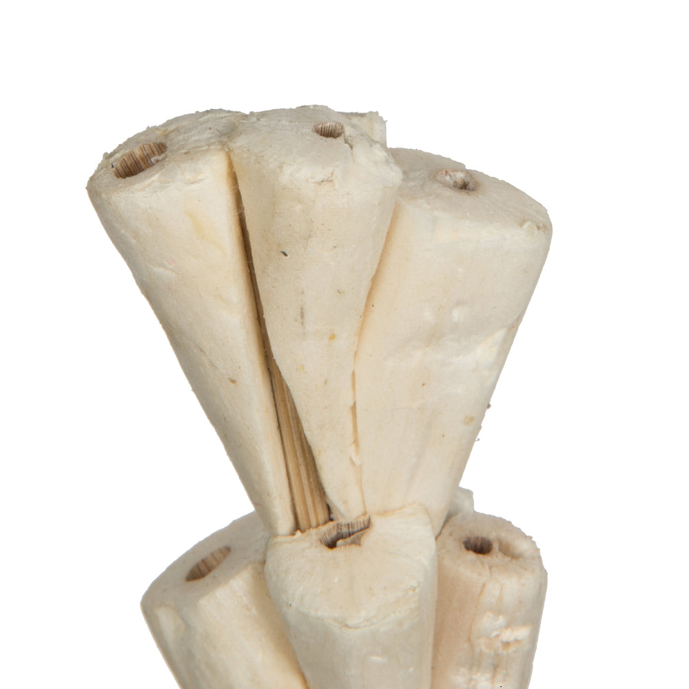 Vickerman Natural Botanicals 24" Natural Dried Sola Rajani Stick- 24 sticks/polybag. Preserved.