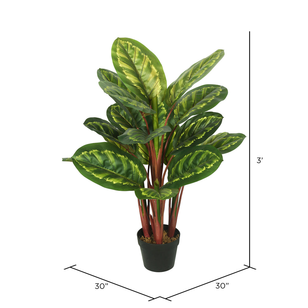 Vickerman 3' Artificial Green and Brown Peacock Plant botanical name Calathea.