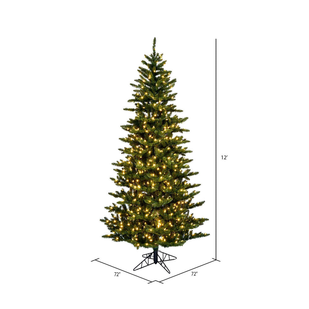 Vickerman 12' x 72" Slim Natural Fraser Fir Artificial Tree Warm White Dura-lit LED Lights.