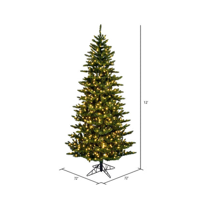 Vickerman 12' x 72" Slim Natural Fraser Fir Artificial Tree Warm White Dura-lit LED Lights.