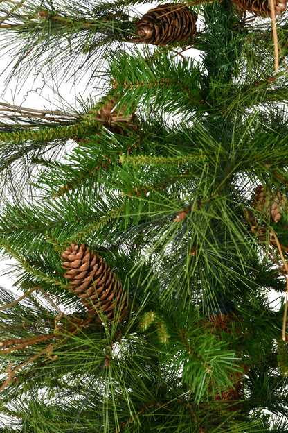Vickerman 6' Ashland Artificial Christmas Tree Unlit