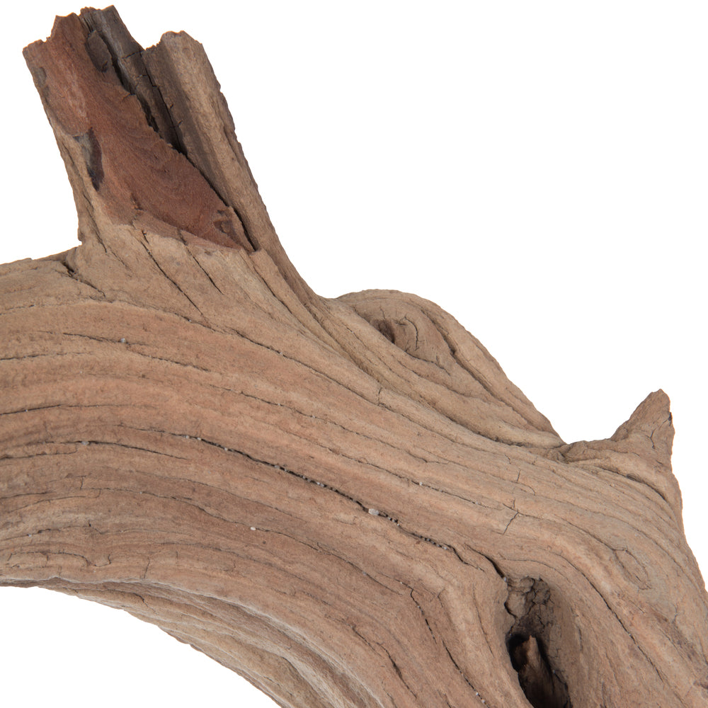 Vickerman Ghostwood Manzanita Sand Blasted 36" Dried