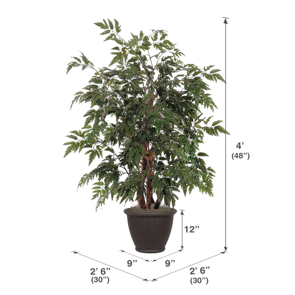 Vickerman 4' Artificial Ming Aralia Bush Brown Plastic Container.