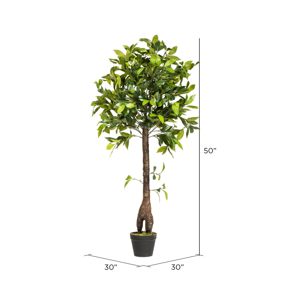 Vickerman 50" Artificial Potted Camellia Tree.