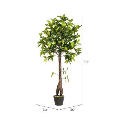 Vickerman 50" Artificial Potted Camellia Tree.