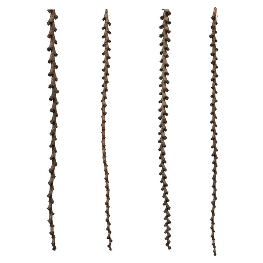 Vickerman 40-48" Natural Ladder Branches - XL straight 7 stems Dried