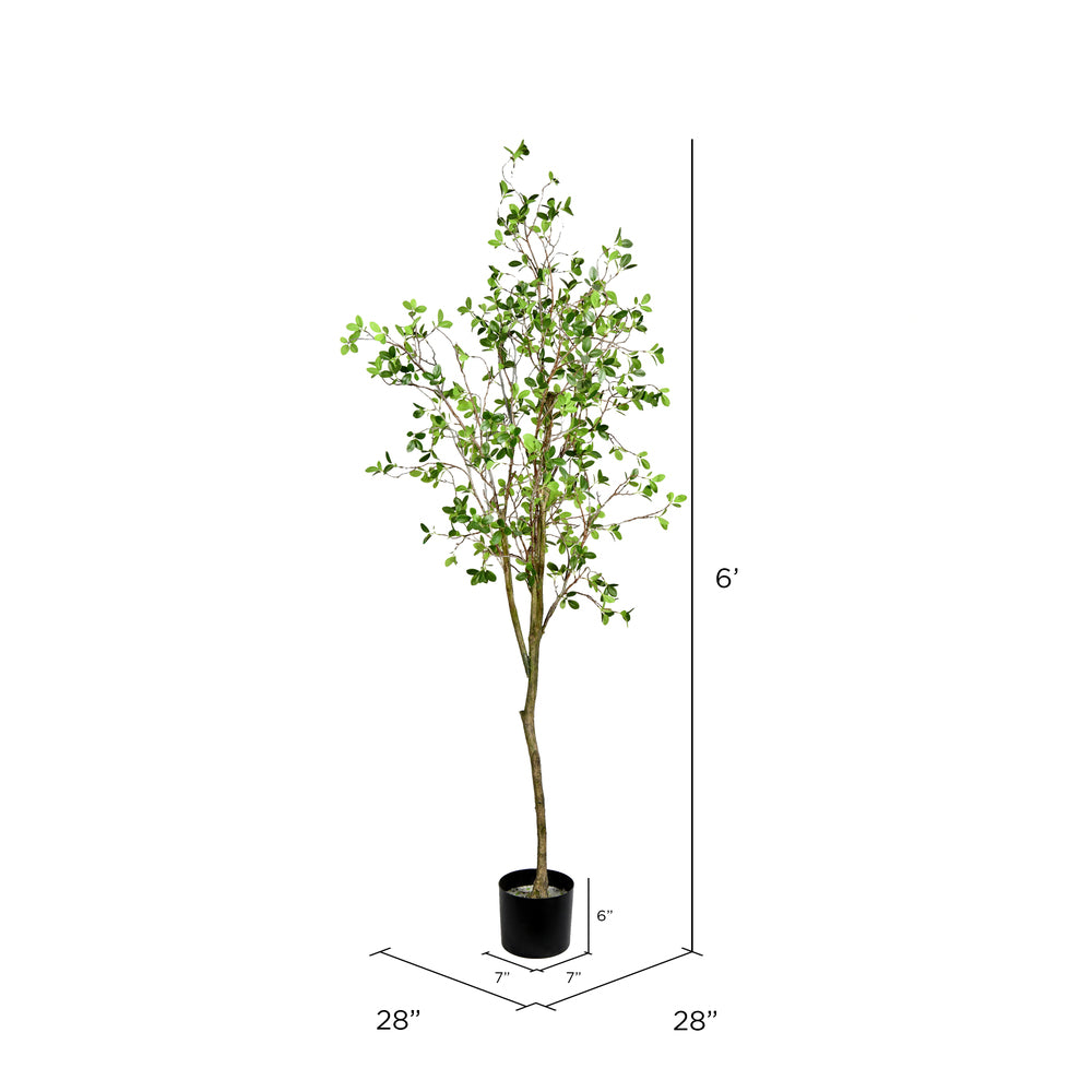 Vickerman 72" Artificial Milan Leaf Tree in Black Planters Pot.