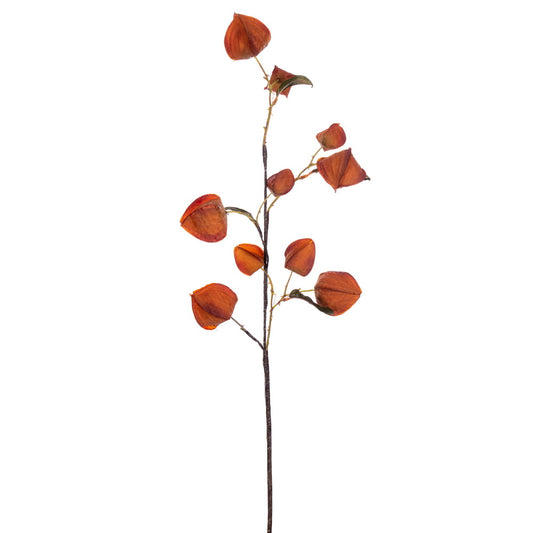 Vickerman 30.5" Orange Artificial Dried Lantern Spray 2 per bag.