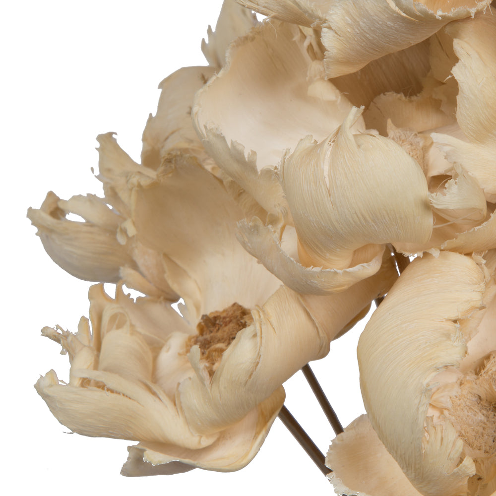 Vickerman Natural Botanicals 2.75" Palm Cap White Wash on Stem. Includes 25 pieces per Pack.