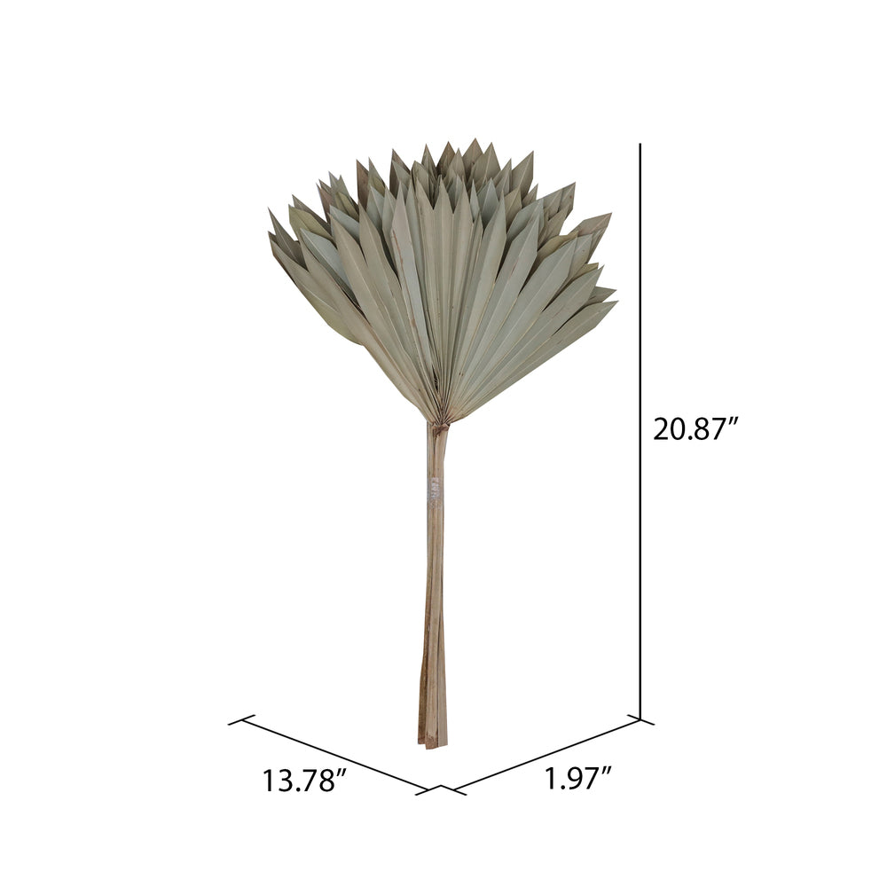 Vickerman Natural Botanicals 20" Natural Palm Sun Stem. Includes 12 Pieces per Bunch.