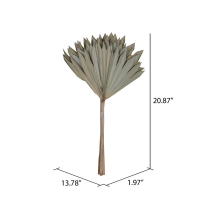 Vickerman Natural Botanicals 20" Natural Palm Sun Stem. Includes 12 Pieces per Bunch.