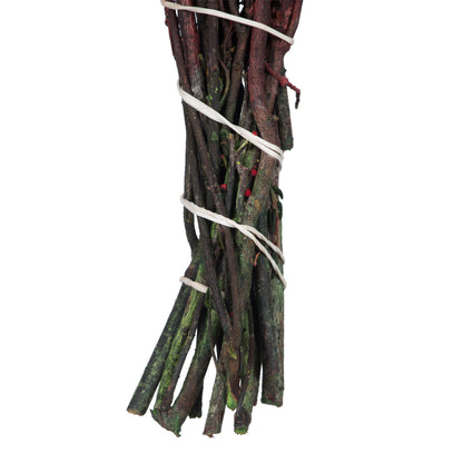 Vickerman 22" Natural Phylica Red bunch Preserved