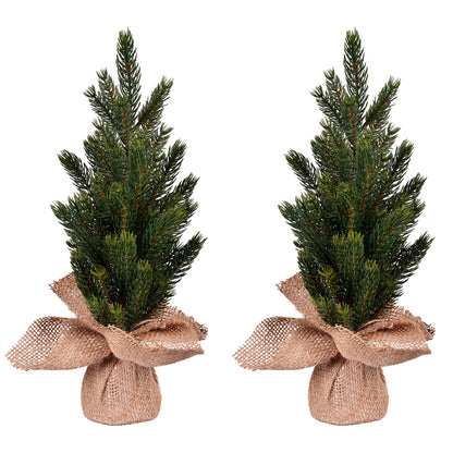 Vickerman 15" Balsam Fir Sapling Artificial Christmas Tree Unlit 2 Pack