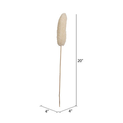 Vickerman Natural Botanicals 20" Luffa on Stem Bleached. Includes 25 Stems per Pack.