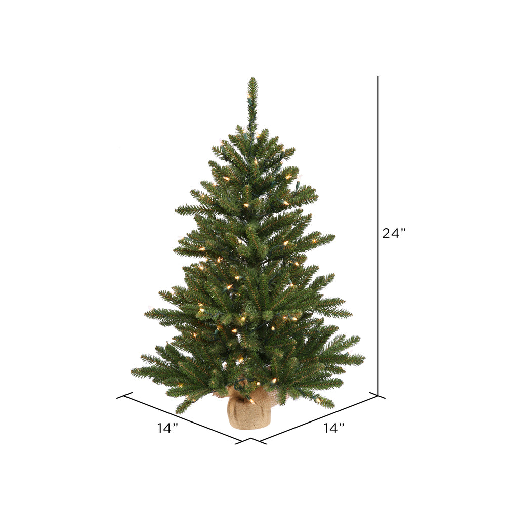 Vickerman 24" Anoka Pine Artificial Christmas Tree Clear Dura-lit Lights