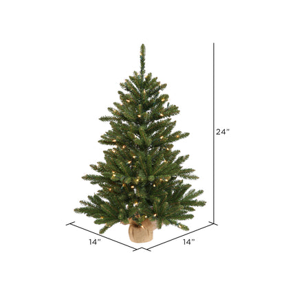 Vickerman 24" Anoka Pine Artificial Christmas Tree Clear Dura-lit Lights
