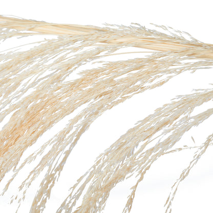 Vickerman 60-72" Bleached Uva Palm Spray standing between 60 to 72 inches tall. Pack of 10.