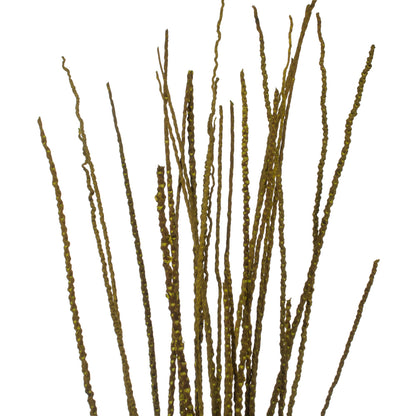 Vickerman 36-40" Light Basil Caba Spine Bundle. Includes 24oz (3 -8oz Bundles) Dried