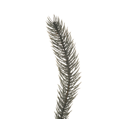 Vickerman 9' x 14" Colorado Blue Spruce Artificial Christmas Garland Unlit