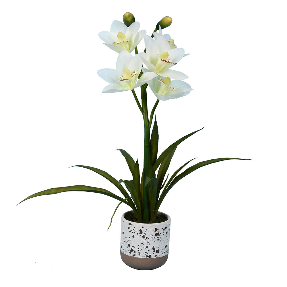Vickerman 19" Artificial White Cymidium In Pot.