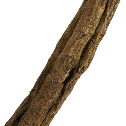 Vickerman 38-45" Basil Twisted Vine.  Includes 2 Twisted Vines per Pack Dried