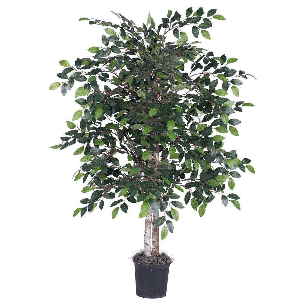 Vickerman 4' Artificial Minil Ficus Bush Black Plastic Pot