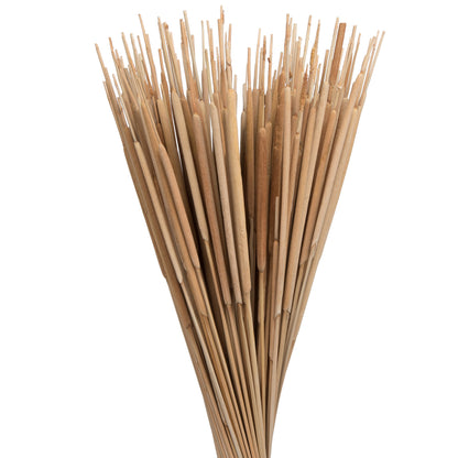 Vickerman Natural Botanicals 24" Reed Spadix Pencil. Includes 150 pieces per Pack.