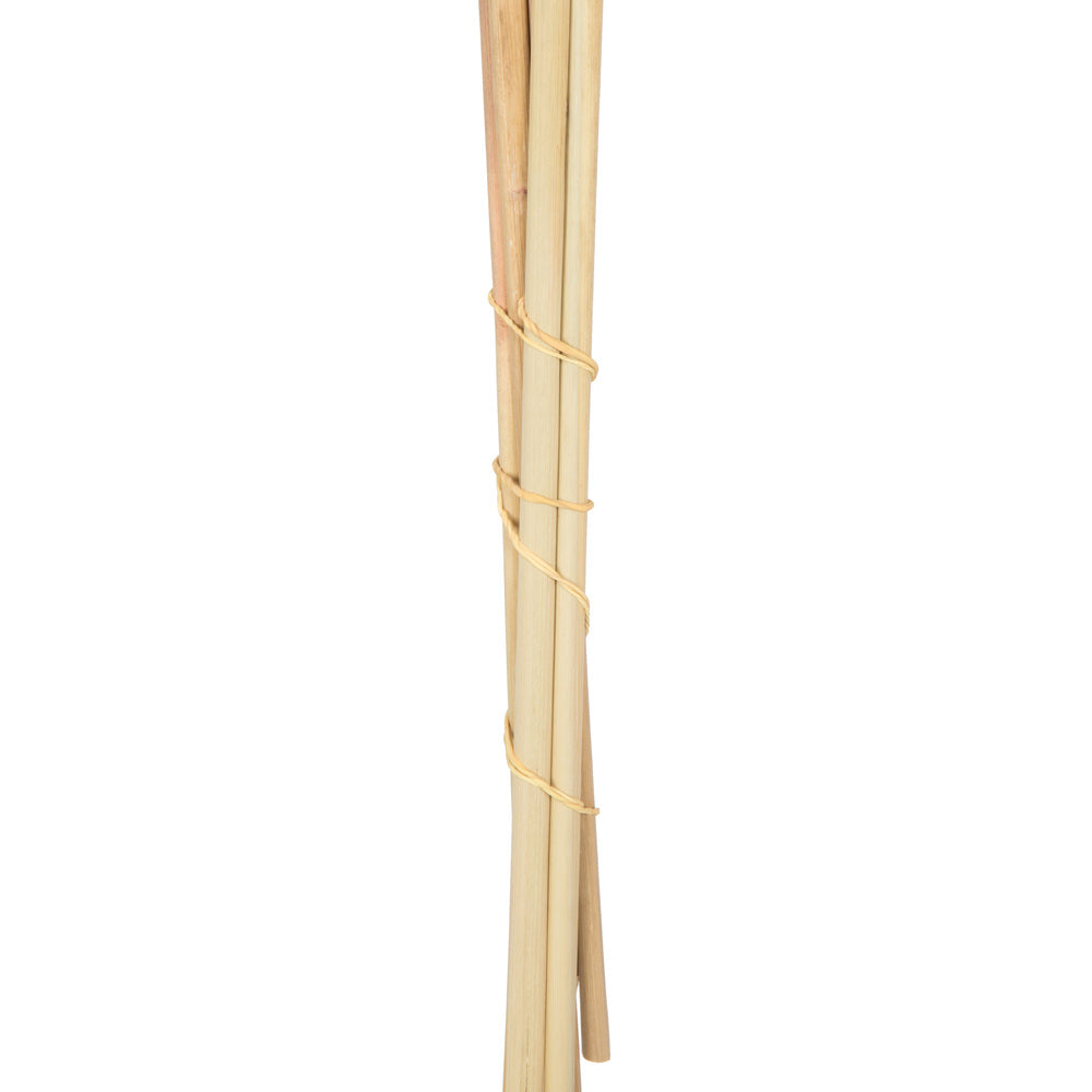 Vickerman 46" Preserved Salmon Pampas Grass 6 pack. It includes two stems. Recommended for Indoor.