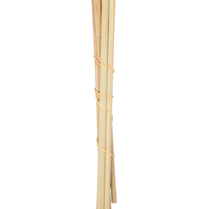 Vickerman 46" Preserved Salmon Pampas Grass 6 pack. It includes two stems. Recommended for Indoor.
