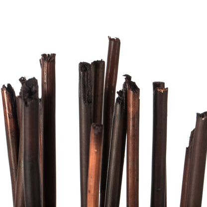 Vickerman 40" Brown Elephant Reed 10 oz Bundle Dried