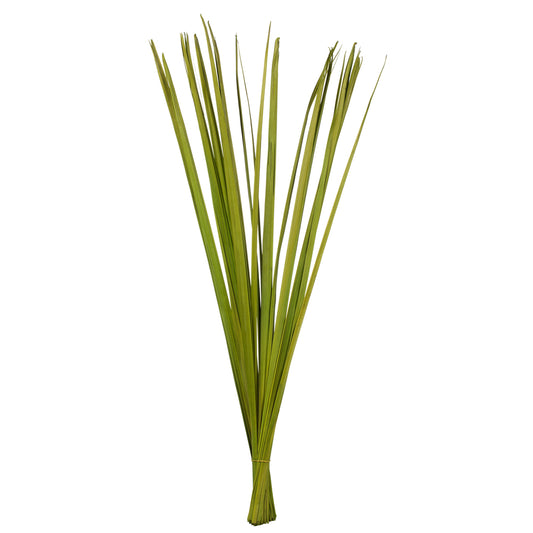 Vickerman 36-40" Basil Sable Grass  7 oz Bundle Dried