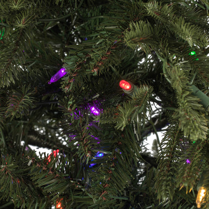 Vickerman 10' x 74" Kamas Fraser Fir Artificial Christmas Tree  Multi-colored Dura-Lit LED lights