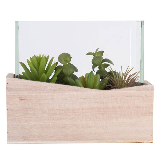 Vickerman 6" Artificial Green Assorted Succulents in Wood Container and Glass Top.