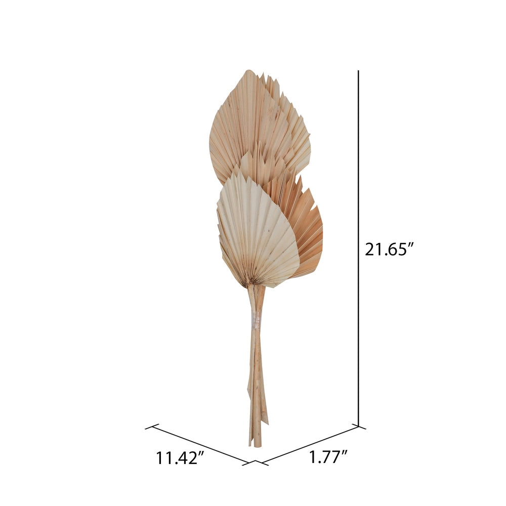 Vickerman Natural Botanicals 20" Bleached King Palm Spear. Includes 10 Pieces per Bunch.