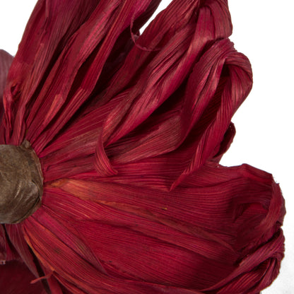 Vickerman Natural Botanicals 6" Bordeaux Maize Dahlia on 18" wire stem- 6 stem/bag. Dried and preserved.
