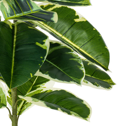 Vickerman 50" Artificial Potted Real Touch Dieffenbachia.
