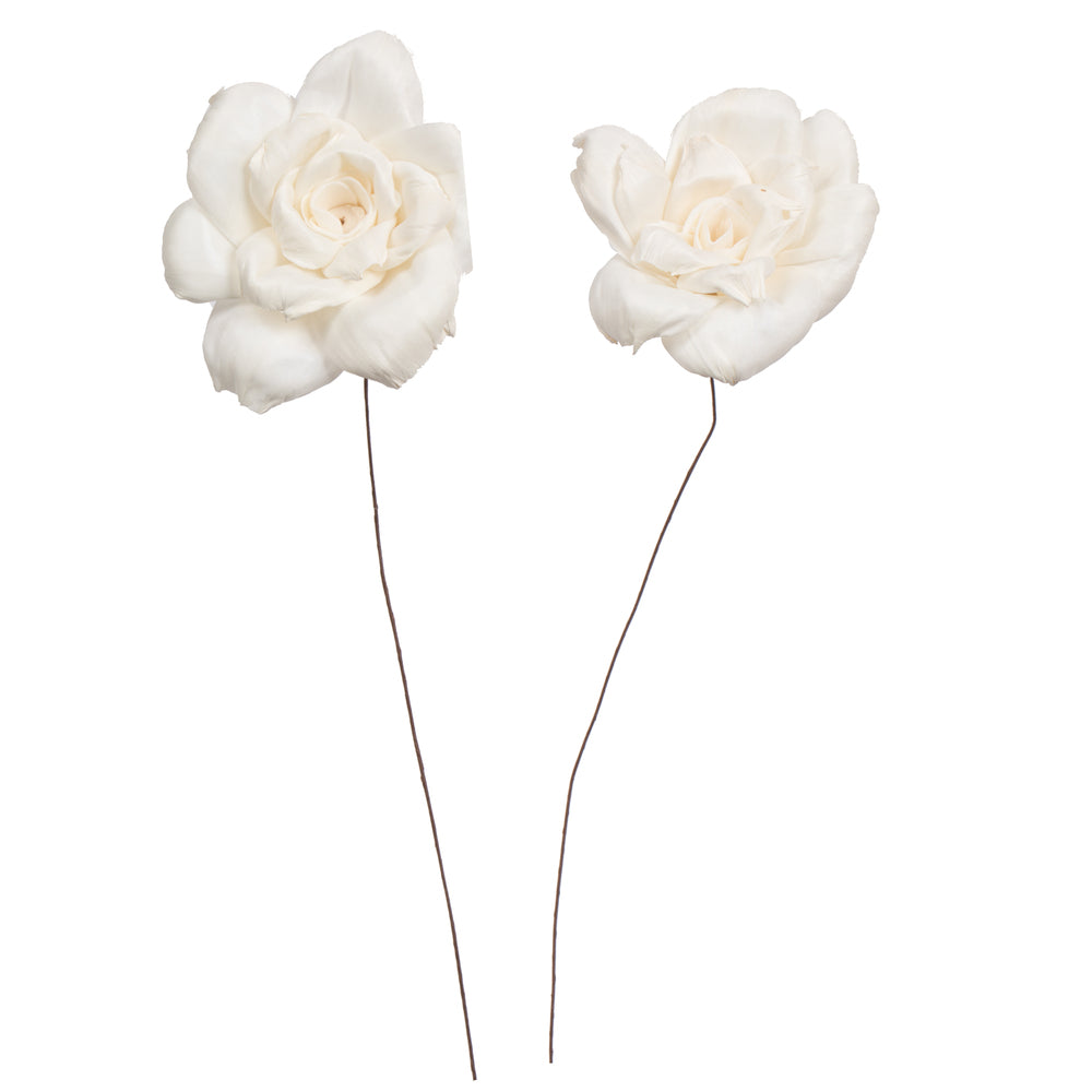 Vickerman Natural Botanicals 4" Jonquil Sola Flower on 12" Stem - 12 stems/bag. Dried and preserved.