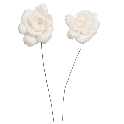 Vickerman Natural Botanicals 4" Jonquil Sola Flower on 12" Stem - 12 stems/bag. Dried and preserved.