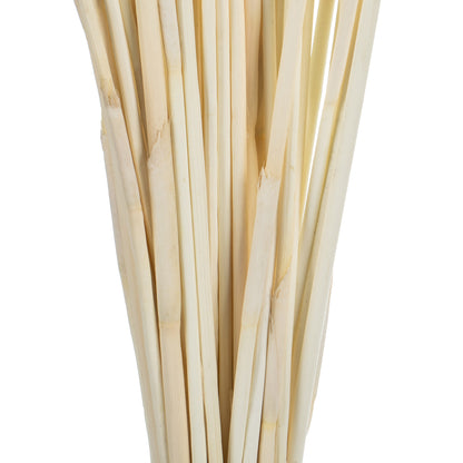 Vickerman 40" Bleached Elephant Reed 10 oz Bundle Dried