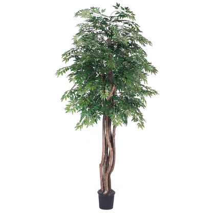 Vickerman 6' Artificial Ming Aralia Executive Black Plastic Pot