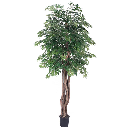 Vickerman 6' Artificial Ming Aralia Executive Black Plastic Pot