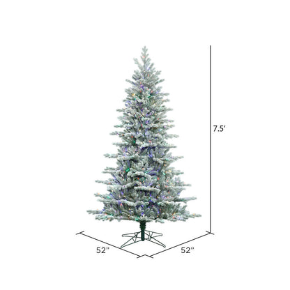 Vickerman 7.5' Frosted Eastern Fraser Fir Artificial Christmas Tree Multi-colored Dura-Lit LED lights